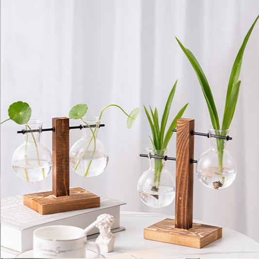 Terrarium Hydroponics Plant Vase