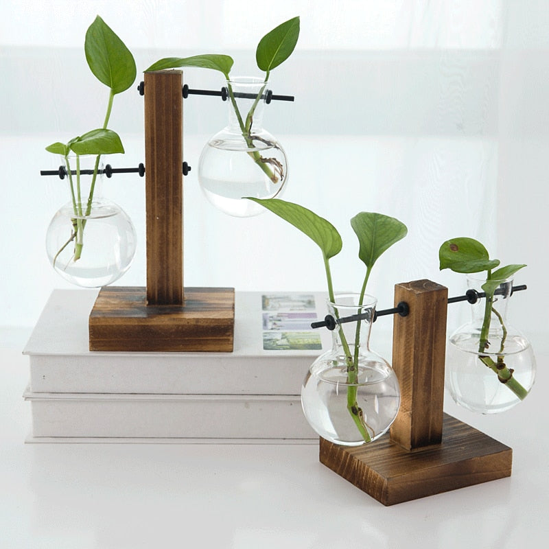 Terrarium Hydroponics Plant Vase