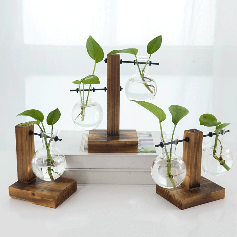 Terrarium Hydroponics Plant Vase