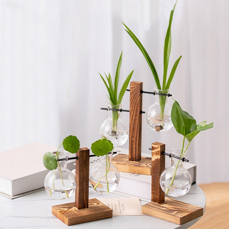 Terrarium Hydroponics Plant Vase