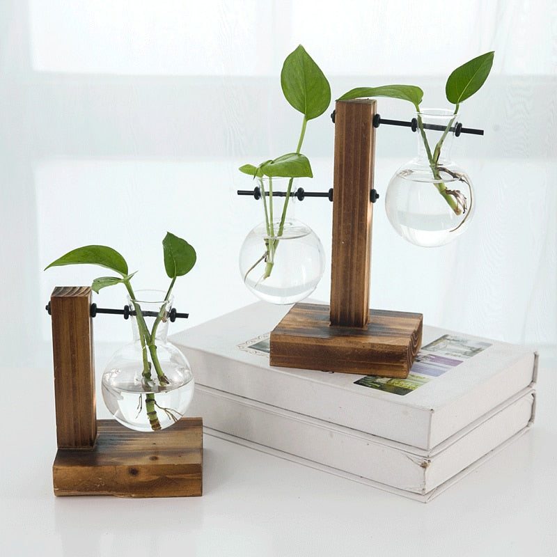 Terrarium Hydroponics Plant Vase